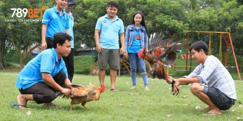 Tiêm phòng định kỳ và chế độ dinh dưỡng hợp lý giúp phòng ngừa bệnh