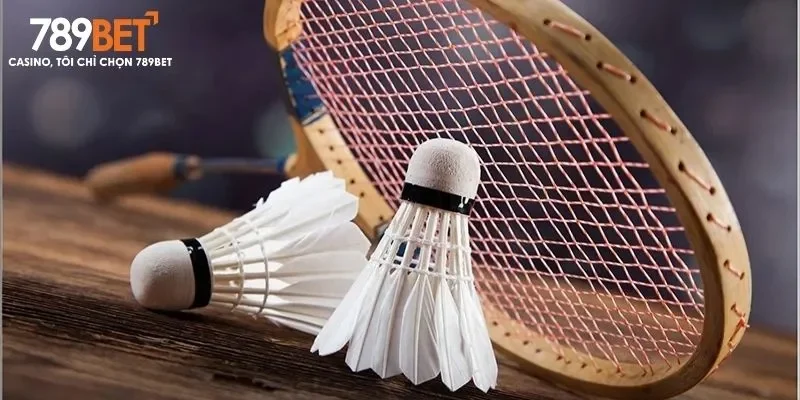 Tổng quan một vài thông tin quan trọng về cá độ cầu lông